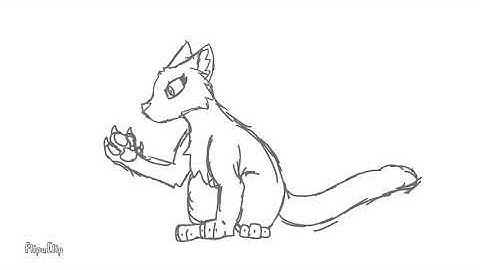 16 shots MAP part WIP