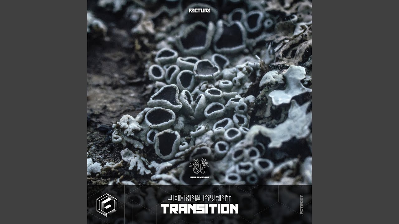 Watch Transition (Original Mix) on YouTube Watch Transition (Original Mix) on YouTube