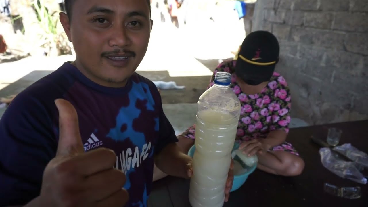 Hanya dengain air buah kelapa kitq bisa bikin tuak .eksperimen tuak dari air buah kelapa