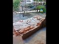 v e o foi o único a se no cinema de de de