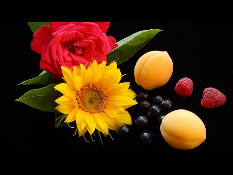 Лечебная музыка Моцарта 💚 Активизирует Жизненный Тонус 💛Повышает Защитные Свойства Организма.
