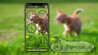 Program for blind and visually impaired people "I can see" screenshot 5