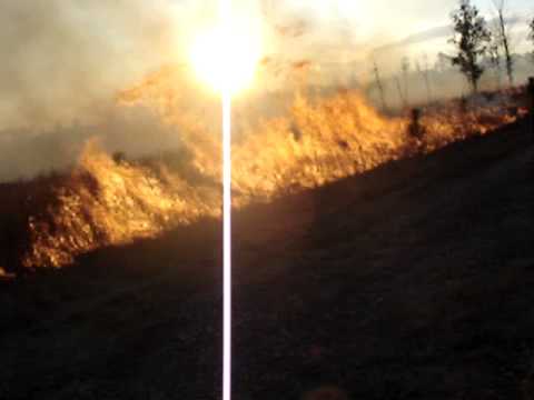 Prescribed burn at the Joseph Pines Preserve Winter 2008 in Virginia pt 1