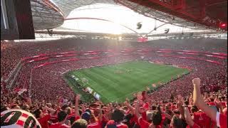 Eu amo o Benfica - Benfica x Santa Clara 27.05.2023