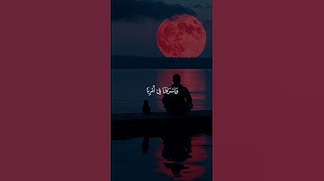 وَاللَّهُ يُحِبُّ الصَّابِرِينَ || القرئ ياسر الدوسري 🤍 #ياسر_الدوسري #تلاوة_خاشعة #قران_كريم