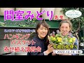 今週の花便り #21【2022.12.16】間室みどり先生　ハンギングバスケット講習会【寄せ植え】 ネメシア　ビオラ　ガーデンセンターさにべる