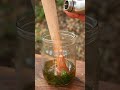 Making meant flaver drink in outdoor nature#outdooradventure #outdoorliving #outdooractivities