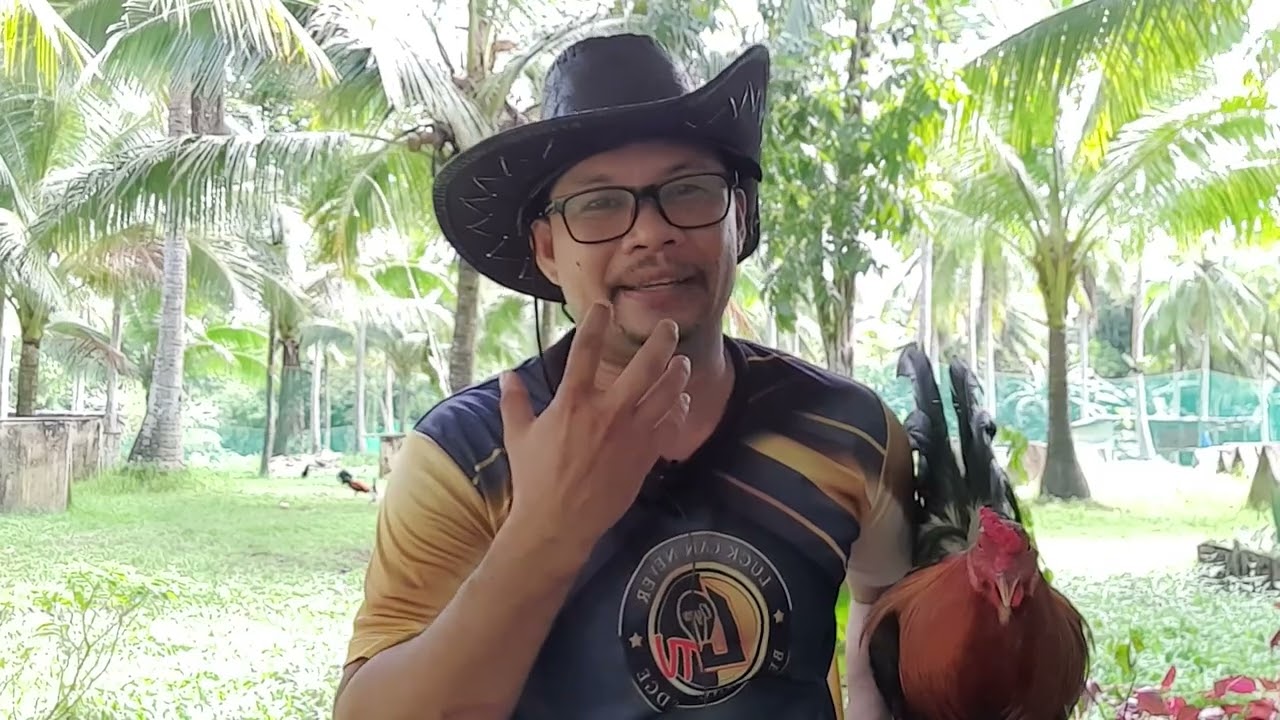 Ano nga ba ang Tinatawag na Gameness ng Manok