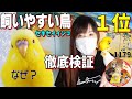 セキセイインコが初心者でも飼いやすい鳥と言われる理由を徹底検証してみた｜フィンチ系とインコの微妙な違い 動画1179