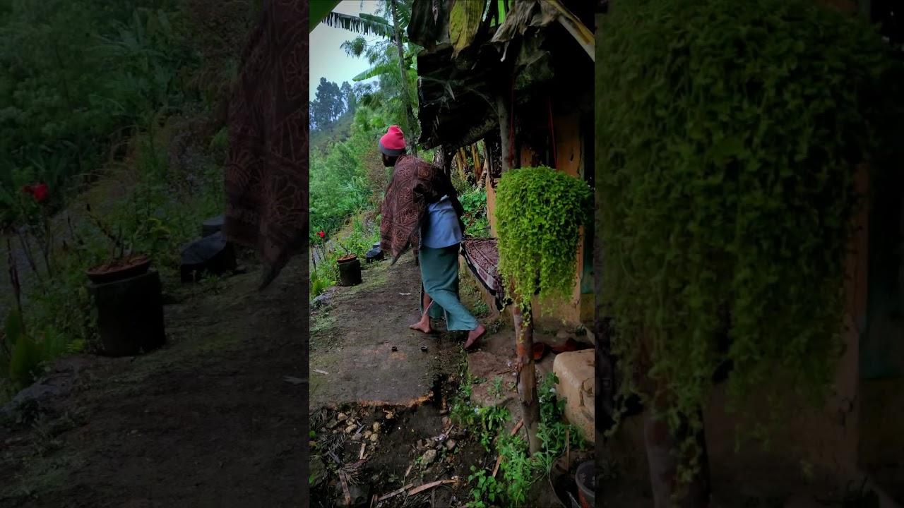 ⁣இயற்கையின் மீது அளவில்லா காதல்.....|| Unflinching love for nature...🍃❤️ #villagelife #youtubeshorts