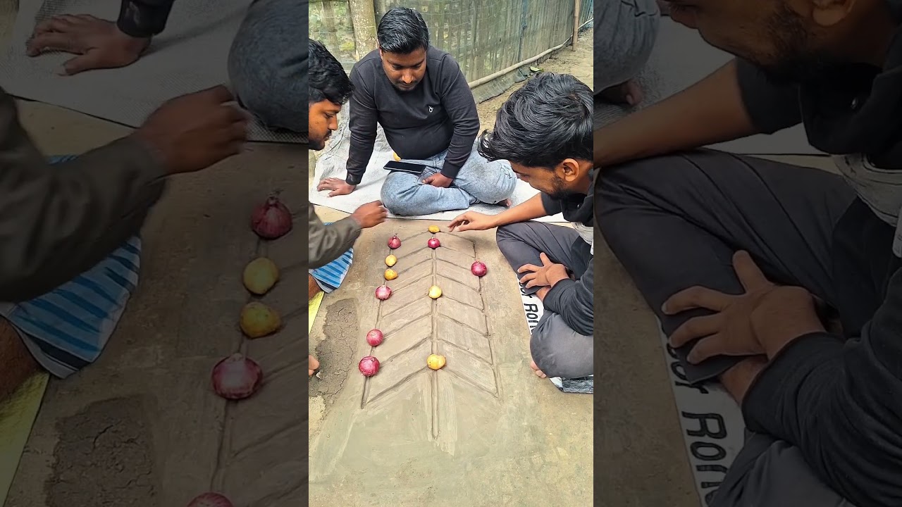 The game of onions and potatoes 