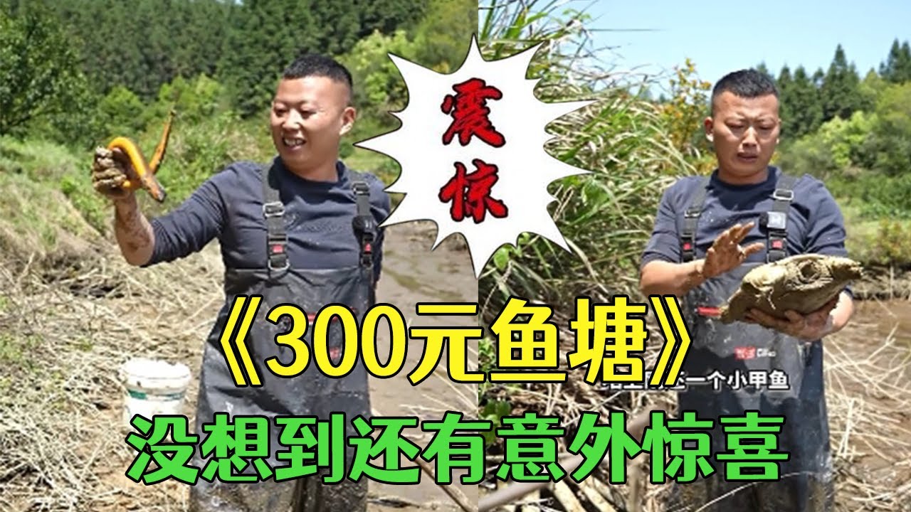 花300元盤下個魚塘，沒想到還有意外驚喜！這下賺了#三農 #戶外#農村生活#小飛哥#包塘#抓魚vlog