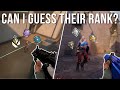 1v1ing players then guessing their rank (Valorant)