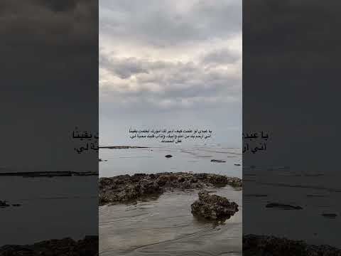 لطف الله    تحفيز حلم العراق  طب طلاب  الله رمضان