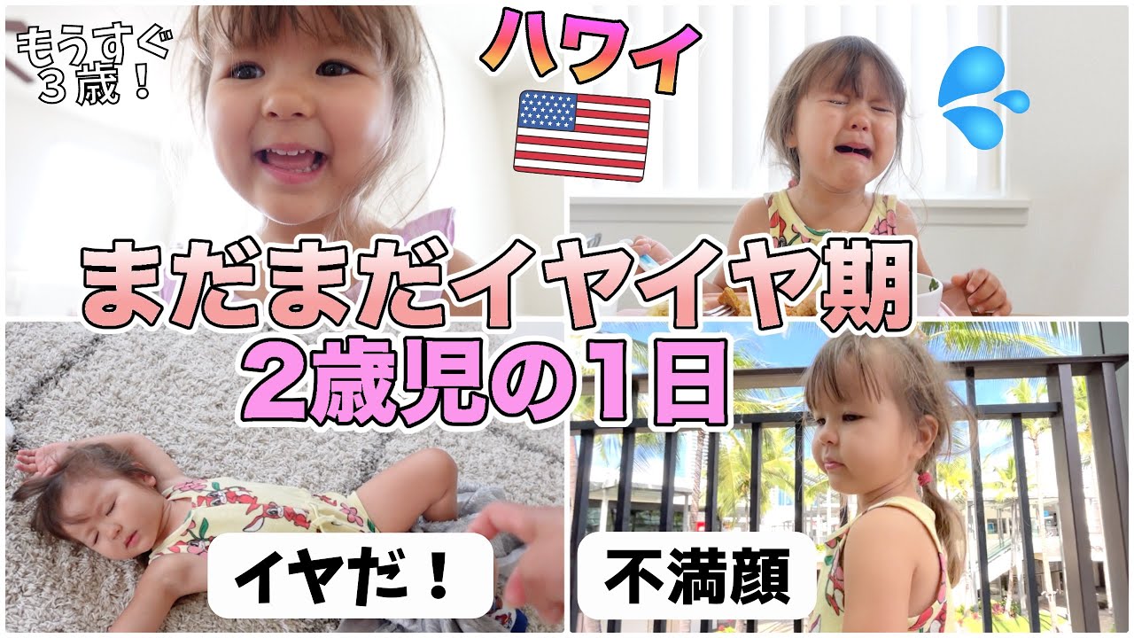 【２歳児の1日】イヤイヤ期娘の1日ルーティン！助けて〜【国際結婚｜アメリカ｜バイリンガル育児】