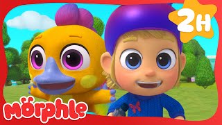 Painter Panic 🎨 | Mila and Morphle 🔴 Morphle 3D | Cartoons for Kids