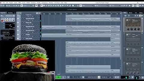 Shady Cicada -Sad Burger