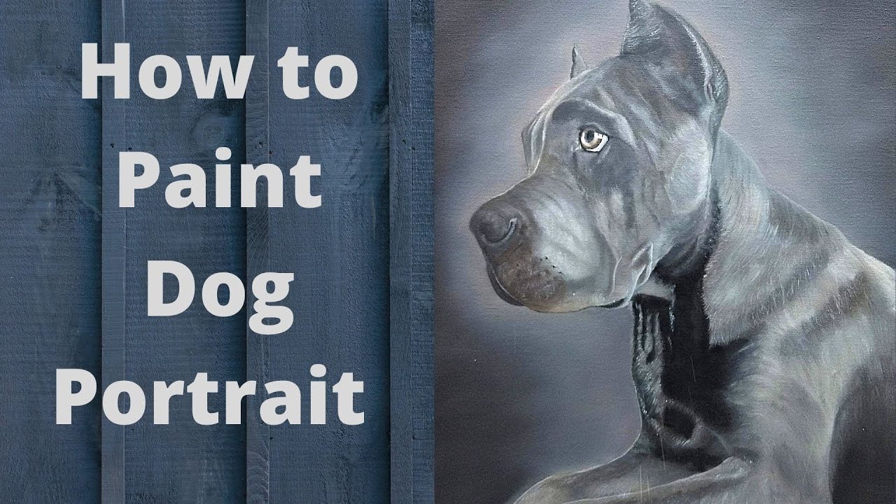 Dog portrait,oil painting of Cane Corso,time lapse,speed painting,g