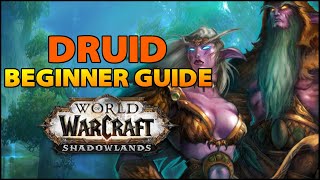 Druid Beginner Guide | Overview & Builds for ALL Specs (WoW Shadowlands)