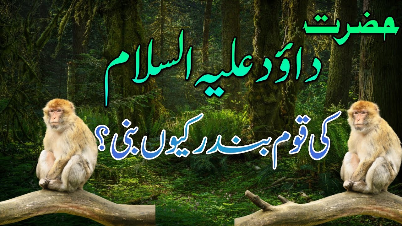 Hazrat dawood ki qaum bandar kyo bani why did people of dawood as