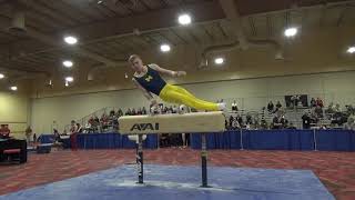 Cameron Bock - Pommel Horse - 2019 Winter Cup Senior Prelims