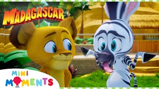 Marty's Wild Game! 🎮 | Madagascar: A Little Wild | Mini Moments