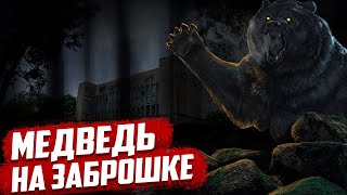 Медведь на заброшке | Абхазия - Сухум | Санаторий МВО