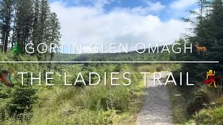 Gortin Glen Forest, The Ladies Trail. Omagh, Northern Ireland 