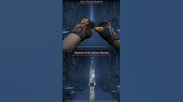 САМОЕ УНИКАЛЬНОЕ КОМБО НОЖА И ПЕРЧАТОК В CS2 #csgo #cs2 #кс2