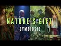 GWENT | NATURE 'S GIFT IS TIER 1 | ALWAYS BEST ST DECK IN THE META