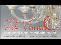 Miniature de la vidéo de la chanson Concerto F.xii N°33 (Rv 576) "Sua Altezza Reale Di Sassonia" En Sol Mineur - Allegro
