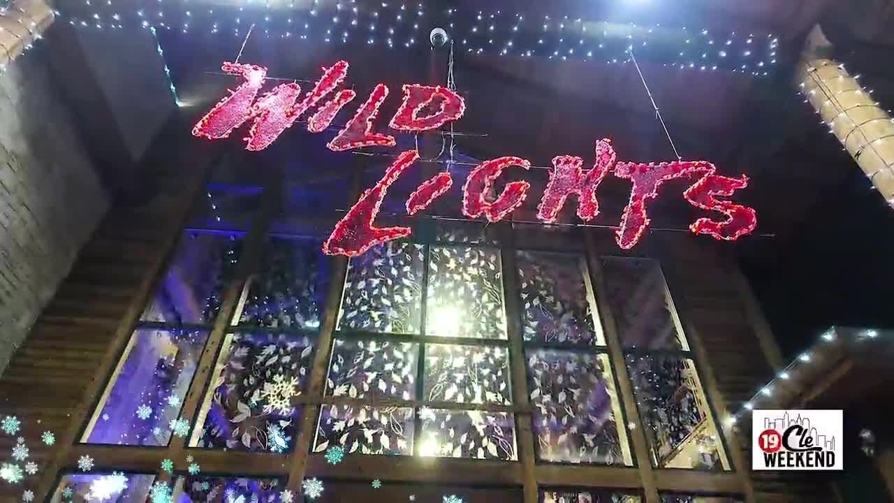 Akron Zoo's Wild Lights: A Million Lights and Festive Fun!
