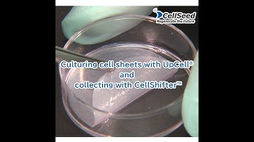 Culturing cell sheets with UpCell® and collecting with CellShifter™　　－CellSeed Inc.－