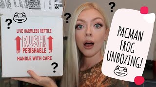 Pacman Frog Unboxing 4 Different Morphs Frogs In The Mail??