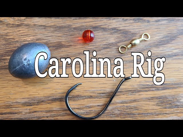 Carolina Rig. Catfishing Rig 