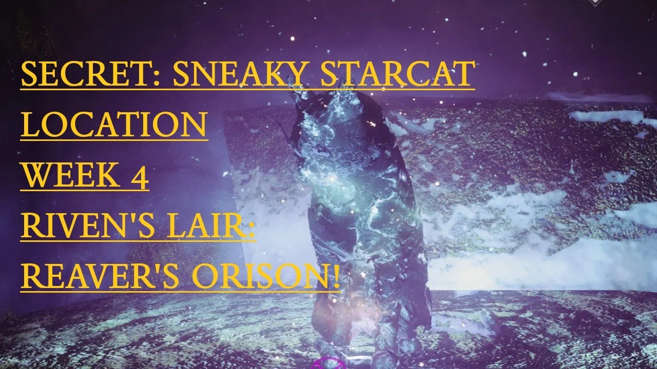 D2 Secret: Sneaky Starcat: Location Week 4: Riven's Lair: Reaver's Orison!
