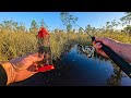 Bream fishing in spring