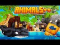 Animals  minecraft marketplace trailer