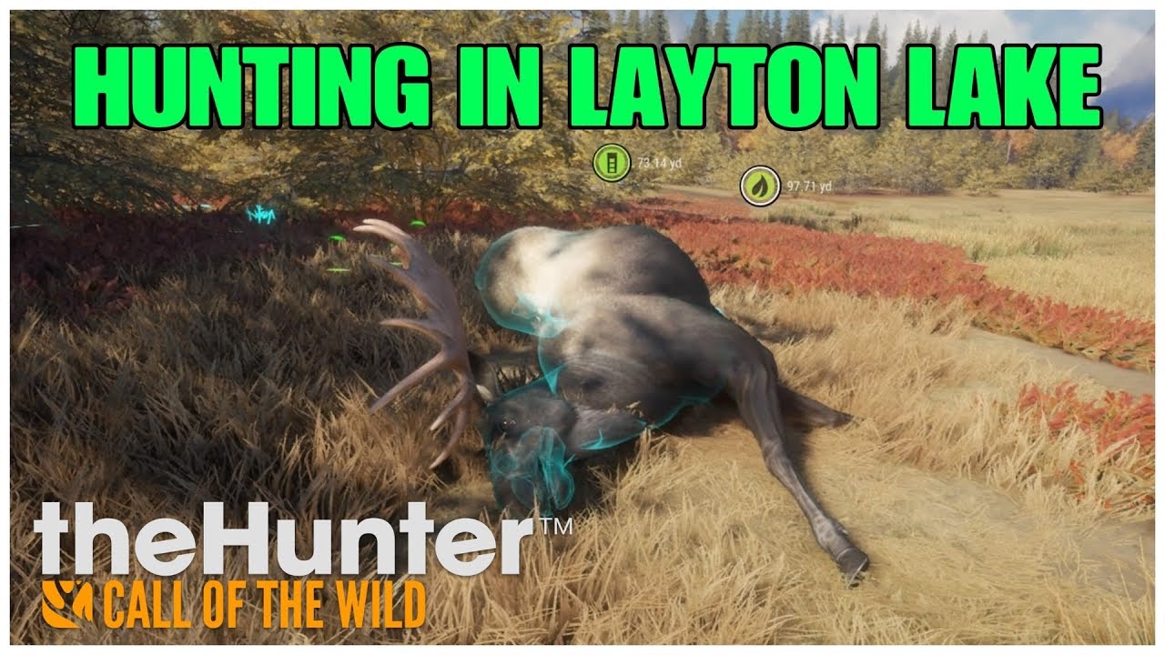 theHunter Call Of The Wild | Hunting in Layton Lake 