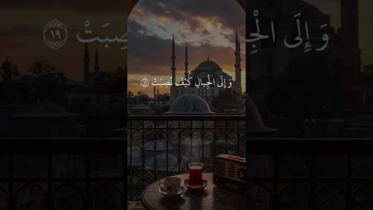 تلاوة مؤثرة 😢✨ يا أيها الإنسان ما غرك بربك الكريم الشيخ عبد الباسط عبد الصمد