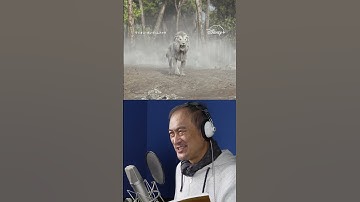 Thumbnail of 超実写プレミアム吹替版声優 アフレコ映像🎙️｜ライオン・キング：ムファサ｜Disney+ (ディズニープラス）#Shorts