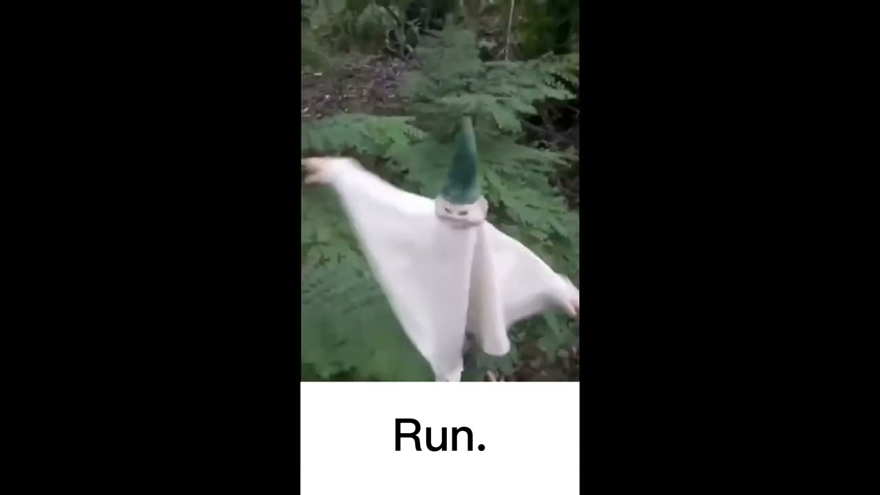 Whimsical Little Creature (4K) (EXTENDED)