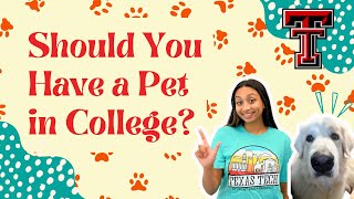 Should You Have a Pet in College | Texas Tech Vlog Squad