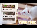 Triple Level Mouse Cage Tour &amp; Upgrades | The Test Tube 2020