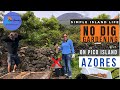 No Dig Gardening - On Pico Island, Azores, Portugal - Enjoying the simple island life. Episode 37