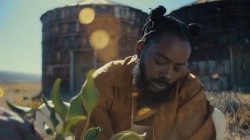Adekunle Gold - It Is What It Is (Official Video)
