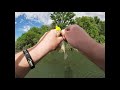 Crappie day