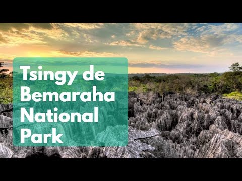 فيديو: حديقة Tsingy de Bemaraha الوطنية: الدليل الكامل