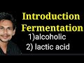 fermentation|| introduction to fermentation|| fermentation in hindi ||fermentation process.