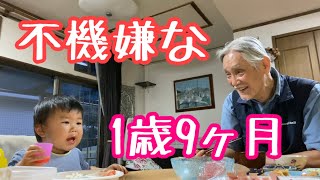 公園で遊んでいて相撲を見逃し不機嫌な1歳児